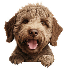 Autocollant lagotto romagnolo d'occasion  Expédié en France