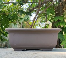 Bonsai pot 762 for sale  Duarte