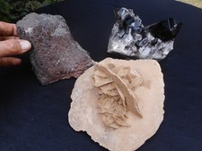 Mineralien stück gebraucht kaufen  Ebertsheim