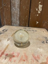 Dandelion dreamball paperweigh for sale  OXFORD