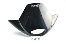 Triumph speed triple gebraucht kaufen  Hannover