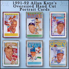 1991 allan kaye for sale  Sacramento