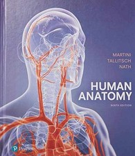 sobotta atlas anatomia humana comprar usado sobotta atlas anatomia humana comprar usado Enviando para Brazil