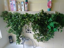Kunst efeu grün gebraucht kaufen  Flensburg