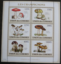 Comores mushroom pilze gebraucht kaufen  Aue