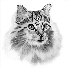 Maine Coon gato, retrato de animal de estimação, lembrança de animal de estimação IMPRESSÃO de um desenho a lápis original  comprar usado  Enviando para Brazil