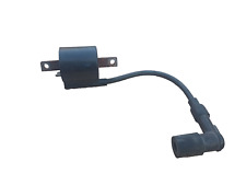 Bobina per yamaha usato  Casoria