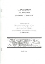 Balenottera del museo usato  Imola