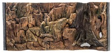 Aquarium rückwand aquariumrü gebraucht kaufen  Hirschfelde