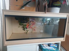 Vivarium terrariumwith thermos for sale  WHITSTABLE