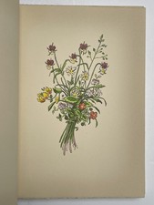 Schäfer ast kunterbunter gebraucht kaufen Schäfer ast kunterbunter gebraucht kaufen  München