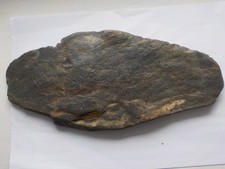 Paleolithic portable art d'occasion  Brest