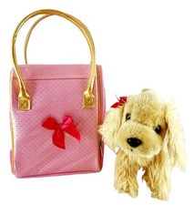 Pucci pups golden for sale  Louisville