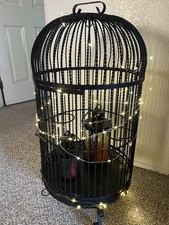 Black iron bird for sale  Las Vegas