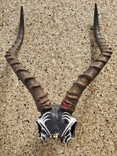 Real hand painted for sale  Austin