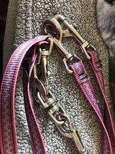 Way fushia dog for sale  Salem