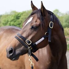 Sizes monty roberts for sale  ALSTON