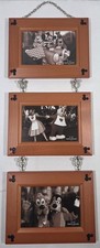 Disney parks photo for sale  Pulaski