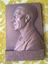 Medaille professeur jacques d'occasion  Plombières-lès-Dijon