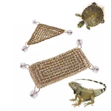 Bearded dragons geckos for sale  HATFIELD