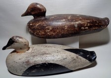 eider decoys for sale eider decoys for sale Depew
