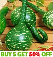 Gourd speckled swan for sale  DONCASTER