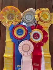 Rosetas de fitas de show equestre cavalo vintage década de 1990 27” longo lote de 6 comprar usado Rosetas de fitas de show equestre cavalo vintage década de 1990 27” longo lote de 6 comprar usado  Enviando para Brazil