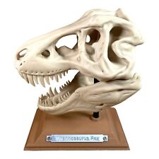 Rex skull replica for sale  GLOUCESTER