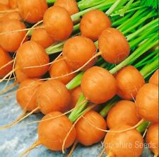 Paris market carrot for sale  DEWSBURY