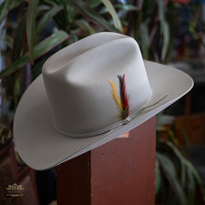 Stetson beaver rancher d'occasion  Expédié en Belgium