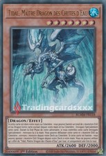Tidal maître dragon d'occasion  France