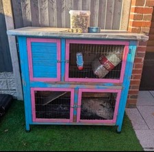 Rabbit guinea pig for sale  BIRMINGHAM