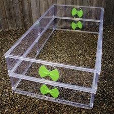 Large vitopod propagator for sale  COLWYN BAY