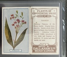 Antique tobacco ephemera for sale  Burtonsville