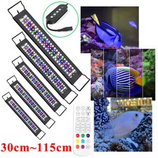 Lampada illuminazione rgb usato  Spedire a Italy