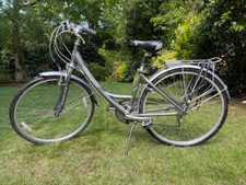 giant expression for sale giant expression for sale EASTLEIGH