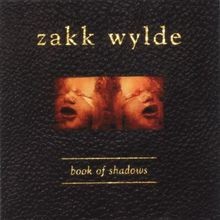 Book shadows wylde gebraucht kaufen  Berlin