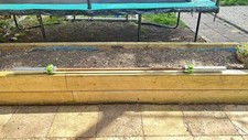 20kg olympic bar for sale  SIDCUP