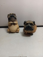 black pug fawn pugs for sale black pug fawn pugs for sale Saint Paul Park