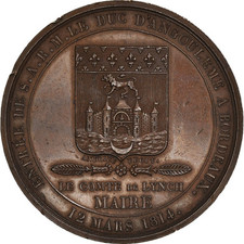 Médaille entrée duc d'occasion  Lille-