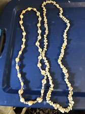 Lot sea shell for sale  Bloomington