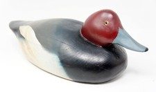 Redhead drake duck for sale  Chicago
