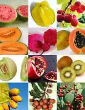 Fruit seeds grow for sale  CAMBORNE