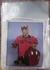 alf panini gebraucht kaufen alf panini gebraucht kaufen Treuchtlingen