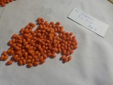 Perle vintage lot d'occasion  Clermont-Ferrand-