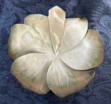 Mother pearl oyster for sale  Beaver Falls