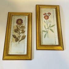 Pair botanical prints for sale  PUDSEY