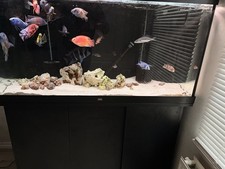 Juwel 350 tank for sale  ROMFORD
