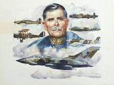 Original watercolour lord for sale  BRIGHTON