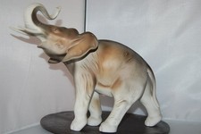 Prächtiger elefant matt gebraucht kaufen Prächtiger elefant matt gebraucht kaufen  Lichtenfels